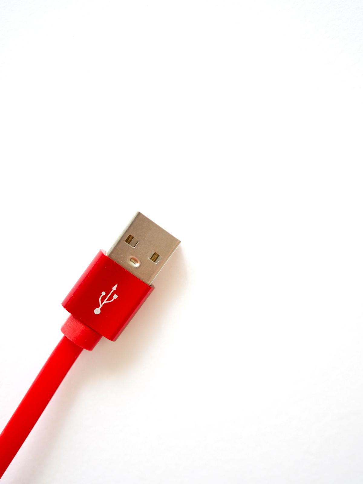 Cabos USB-C e Lightning na AG Infocell em Santos